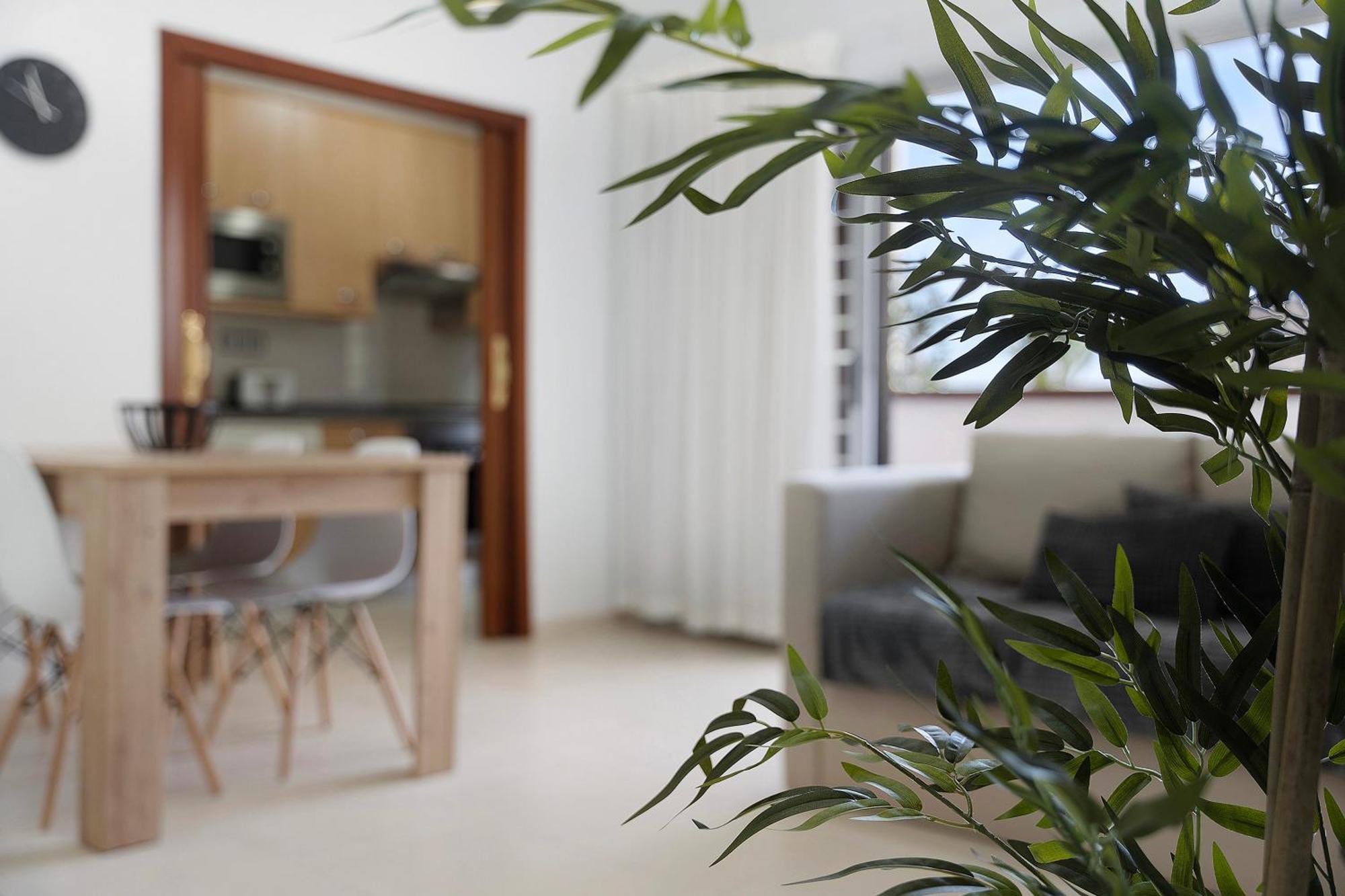 Apartamento Opuntia La Orotava Ngoại thất bức ảnh